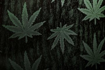 Marijuana legalization, explained